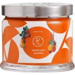 Partylite mango 375 g – Hledejceny.cz