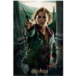 PRIME 3D Puzzle Harry Potter: Hermiona Granger 300 ks – Zboží Dáma