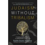 Judaism Without Tribalism: A Guide to Being a Blessing to All the Peoples of the Earth Shapiro RamiPaperback – Hledejceny.cz