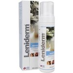 ICF Leniderm foam 200 ml – Zbozi.Blesk.cz