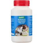Univit Roboran Chondro pro psy plv 200 g – Hledejceny.cz