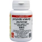 Sinecura Pelyněk vlasatý Yinchenhao extrakt 20 g – Hledejceny.cz