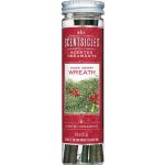 Scentsicles Vonné závěsné tyčinky Kořeněná šiška 6 ks – Zboží Dáma