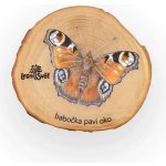 Lesní svět Magnet letokruh Babočka paví oko – Sleviste.cz