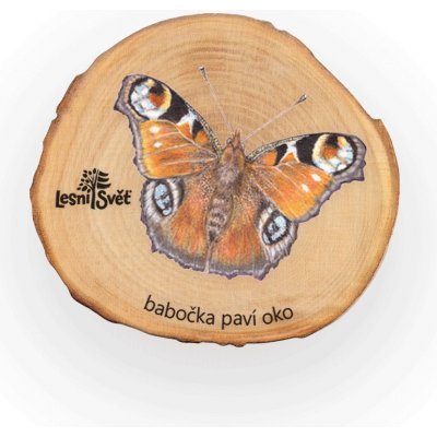 Lesní svět Magnet letokruh Babočka paví oko – Sleviste.cz