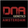 DNA Genetic Holy Grail Kush semena neobsahují THC 6 ks