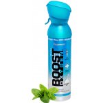 BOOST OXYGEN Doplňkový kyslík pro dýchání Boost Oxygen Peppermint Střední 5 l – Hledejceny.cz