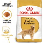 Royal Canin Zlatý retrívr 2 x 12 kg – Sleviste.cz