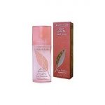 Elizabeth Arden Green Tea Spiced parfémovaná voda dámská 50 ml – Sleviste.cz