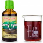 Bylinné kapky tinktura Černý rybíz list 50 ml – Hledejceny.cz