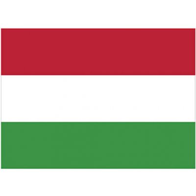 Printwear Vlajka Maďarsko Flaghu Hungary 90 x 150 cm – Hledejceny.cz