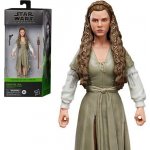Hasbro Star Wars Episode VI 2022 Princess Leia Ewok Village Black Series – Sleviste.cz