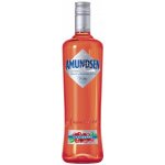 Stock Amundsen Cranberry 1 l (holá láhev) – Zboží Dáma