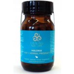 Healing Nature HN Haldika 60 kapslí – Hledejceny.cz