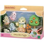 Sylvanian Families 5860 Rodina citronových ptáčků – Zboží Mobilmania