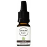 Bachovy květové Bio esence Habr obecný Hornbeam10 ml – Hledejceny.cz