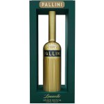 Pallini Limoncello Venice Edition 26% 0,7 l (karton) – Sleviste.cz