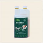 Root & Snoot Pulmoran dýchací cesty pro koně sirup 1000 ml – Hledejceny.cz