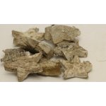 Coco star 5 cm frosted white – Hledejceny.cz