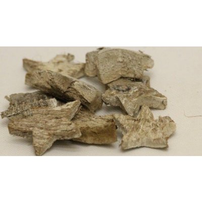Coco star 5 cm frosted white – Hledejceny.cz