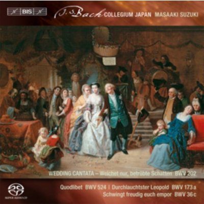 Bach Johann Sebastian - Secular Cantatas Vol.3 CD – Hledejceny.cz