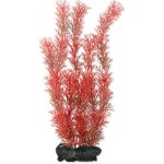 Tetra Myriophyllum heterophyllum Red Foxtail 30 cm – Hledejceny.cz