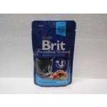 Brit Premium Cat Kitten Chicken Chunks 100 g – Sleviste.cz