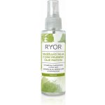 Ryor Osvěžující mlha s vůní zeleného čaje Matcha 100 ml – Hledejceny.cz