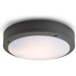 RENDL RED R10383 – Hledejceny.cz