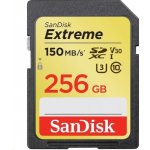 SanDisk SDXC UHS-I U3 256 GB SDSDXV5-256G-GNCIN – Zbozi.Blesk.cz