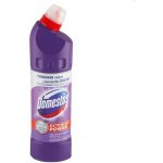 Domestos Extended Power WC tekutý dezinfekční a čistící přípravek Lavander 750 ml – HobbyKompas.cz