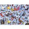 Puzzle Gibsons Pigeons of Britain 1000 dílků