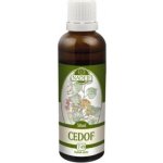 Mgr. Jarmila Podhorná Cedof 50 ml – Hledejceny.cz