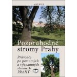 Pozoruhodné stromy Prahy. Průvodce po památných a významných stromech Prahy - Aleš Rudl - Libri – Hledejceny.cz