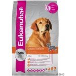 Eukanuba Golden Retriever 2 x 12 kg – Hledejceny.cz