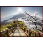 Bondecor Obraz Putframe Scenerie 50 x 70 cm – Hledejceny.cz