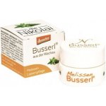 dieNikolai Balzám na rty Rozmarýnový polibek 5 ml – Zboží Dáma