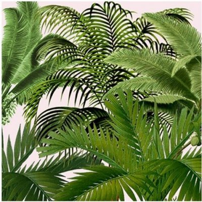 Ubrousek 33x33cm Rostliny tropikal 20ks – Hledejceny.cz