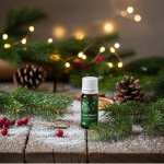 Tierra Verde Esenciální olej Vánoční stromeček 10 ml – Zboží Mobilmania