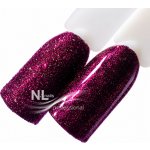 NL nails professional GLITTER LIMITED COLLECTION – Hledejceny.cz