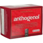 Imunotop Anthogenol OPC přírodní antioxidant 90 kapslí – Hledejceny.cz