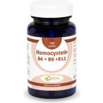 Natural Pharm Homocystein B6 + B9 + B12 100 tablet – Hledejceny.cz
