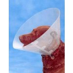Kruuse Buster Clic Collar Plastový ochranný límec 40 cm – Zboží Mobilmania