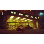 Stray – Zboží Dáma