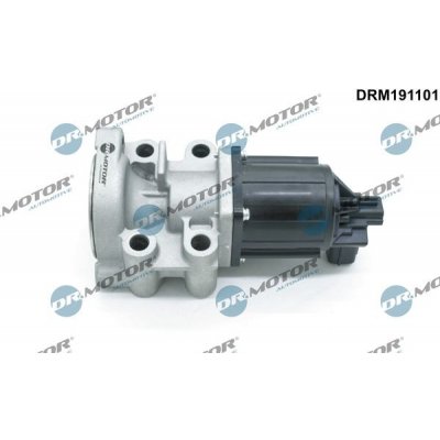 AGR-Ventil Dr.Motor Automotive DRM191101 – Hledejceny.cz