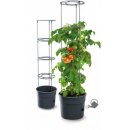 Prosperplast Tomato Grower Květináč 29,5 cm antracit