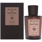 Acqua Di Parma Colonia Ambra Concentrée kolínská voda pánská 100 ml – Hledejceny.cz