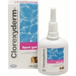 Industria Chimica Fine s.r.i. Clorexyderm spot gel ICF 100 ml – Hledejceny.cz