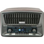 Roadstar HRA-270CD – Zboží Mobilmania