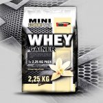 Vision Nutrition WHEY GAINER 2250 g – Hledejceny.cz